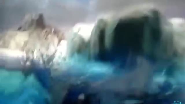 Socially Awkward Penguin